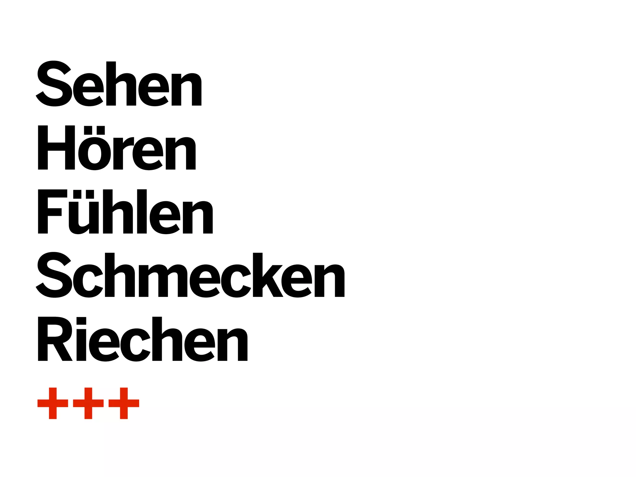 Sehen
Hören
Fühlen
Schmecken
Riechen
+++

 