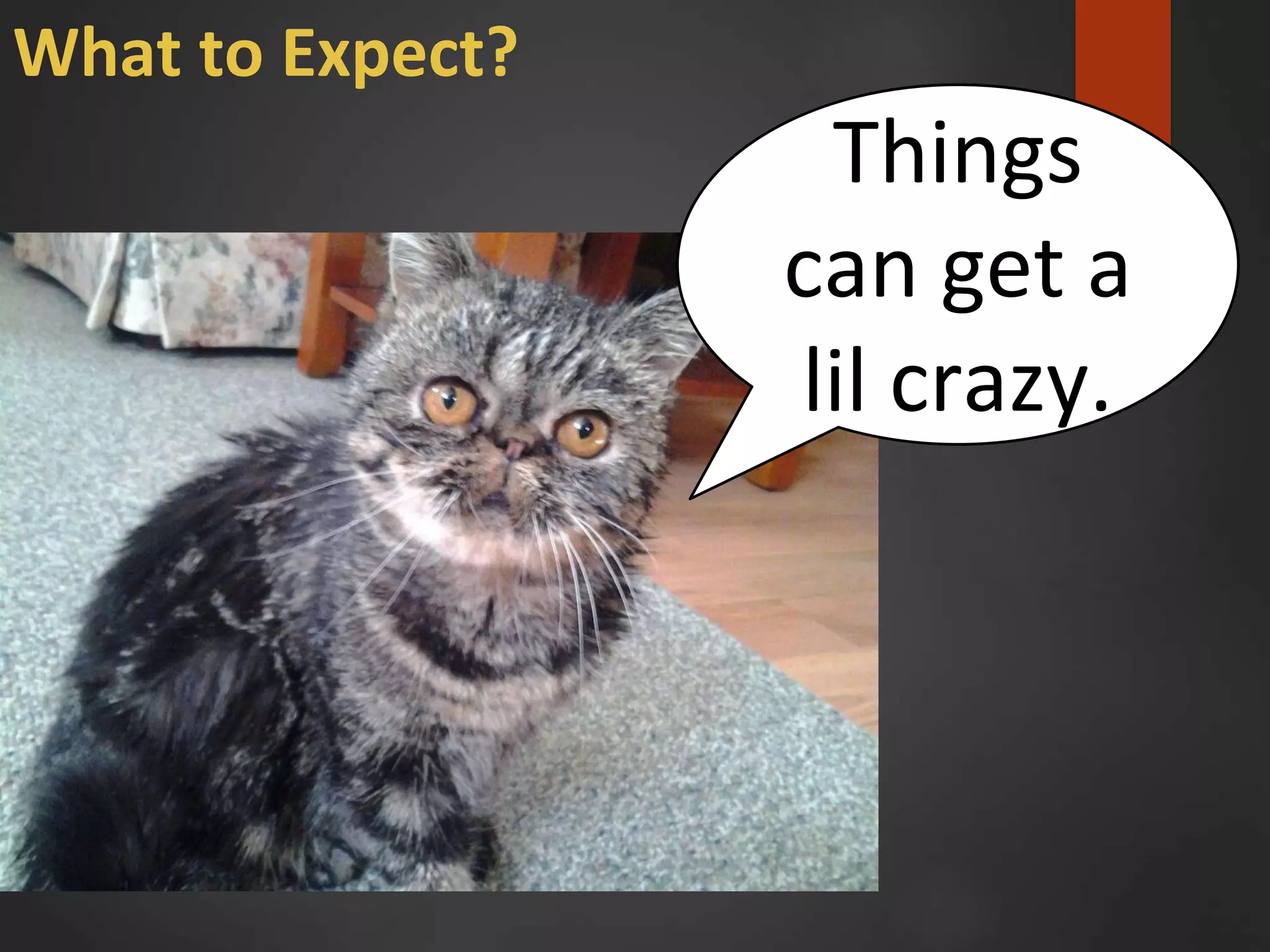 What to Expect?
Things
can get a
lil crazy.
 