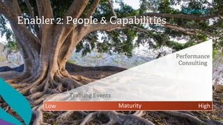 Low High
Performance
Consulting
Training Events
Maturity
Enabler 2: People & Capabilities
 