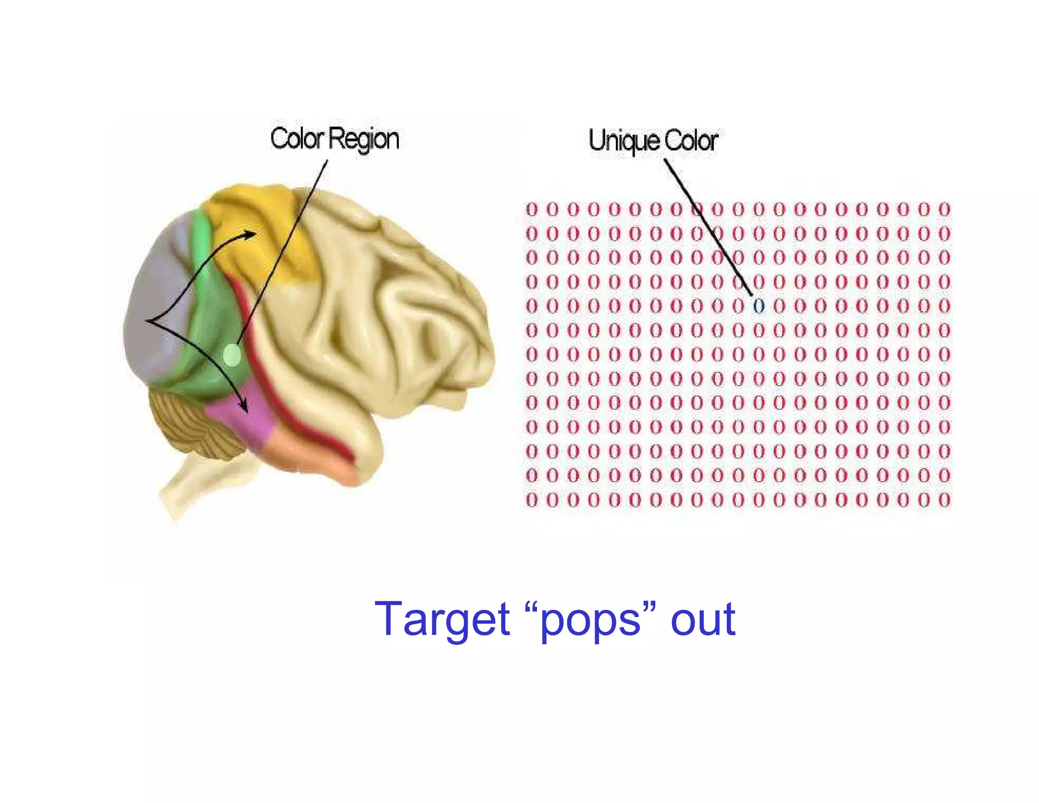 Target “pops” out
 