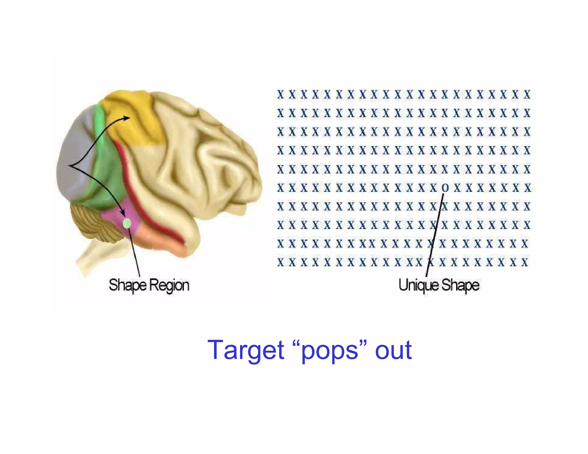 Target “pops” out
 