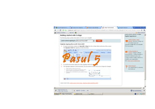 Pasul 5
 