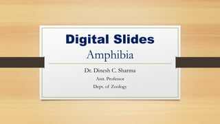 Digital Slides
Amphibia
Dr. Dinesh C. Sharma
Asst. Professor
Dept. of Zoology
 