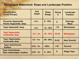 Digital soil mapping