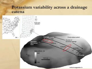 Digital soil mapping