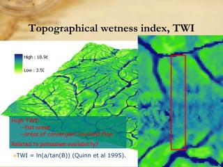 Digital soil mapping