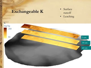 Digital soil mapping