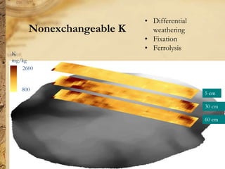 Digital soil mapping
