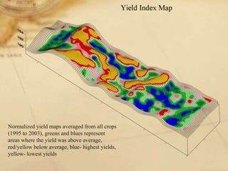 Digital soil mapping