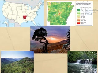 Digital soil mapping