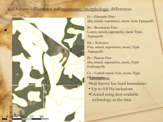 Digital soil mapping