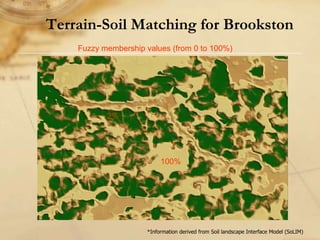 Digital soil mapping