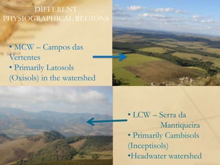 Digital soil mapping
