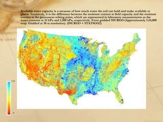 Digital soil mapping