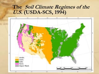 Digital soil mapping