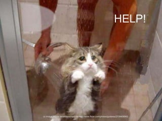 HELP!
cc image (A) via renaldbouchard via http://www.flickr.com/photos/guitares/2739408943
 