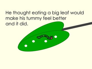 He thought eating a big leaf would make his tummy feel better and it did.