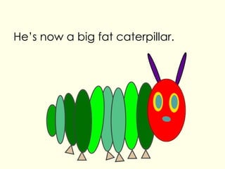 He’s now a big fat caterpillar.