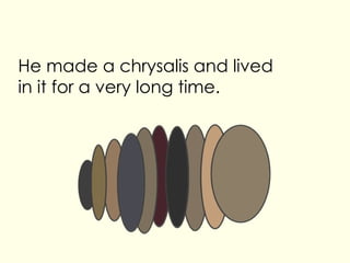 He made a chrysalis and lived in it for a very long time.