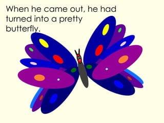 When he came out, he had turned into a pretty butterfly.