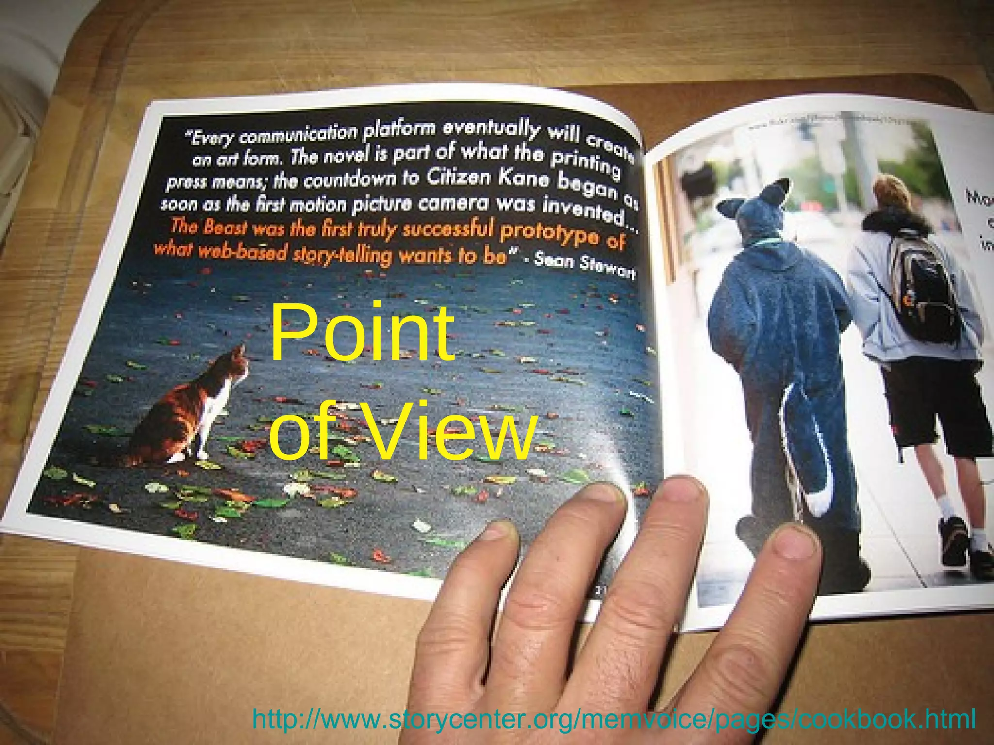 Point  of View http://www.storycenter.org/memvoice/pages/cookbook.html   
