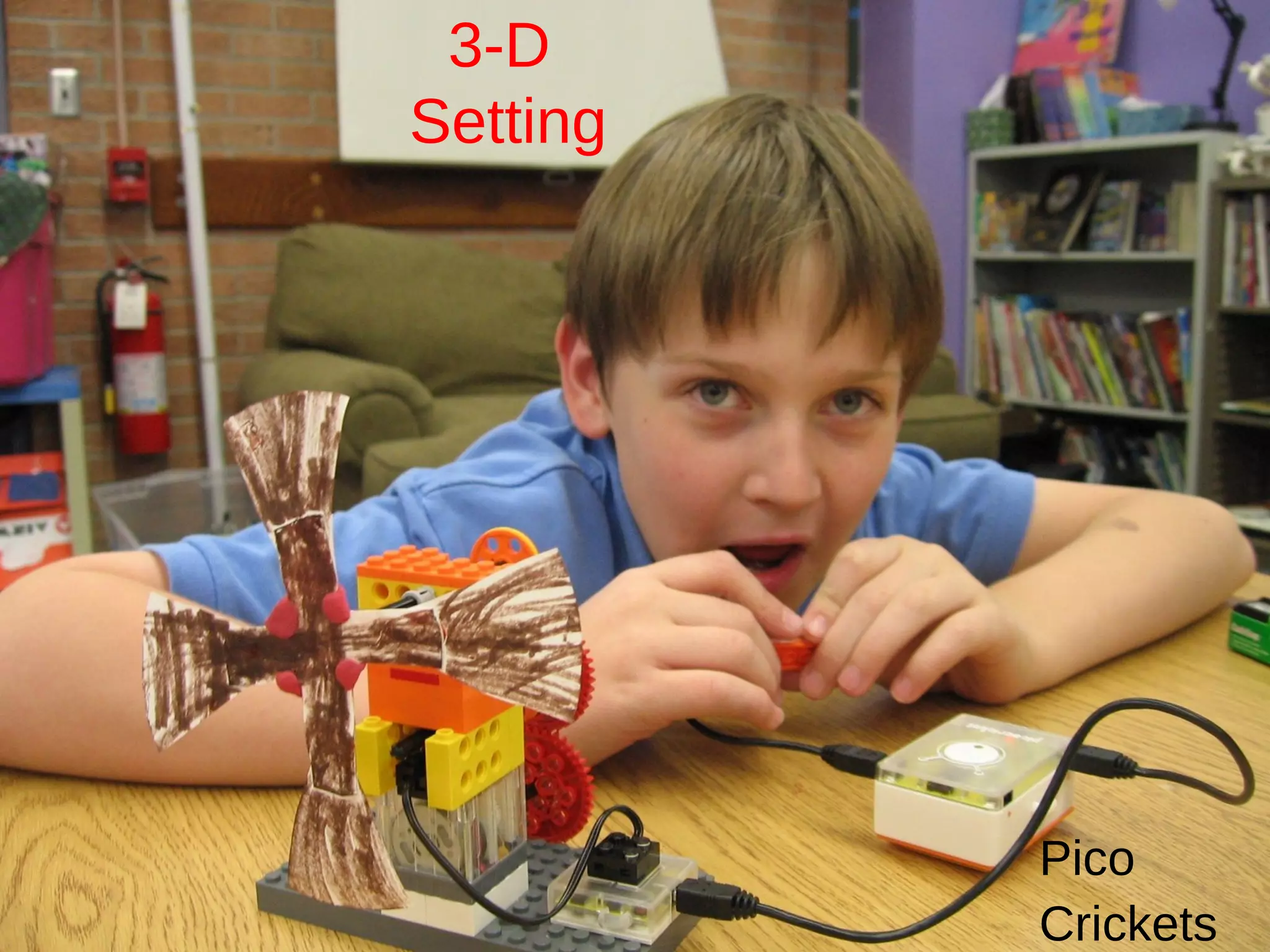 3-D  Setting Pico  Crickets 