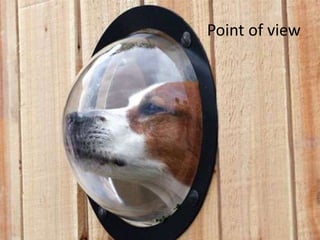 Point of view