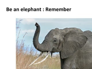 Social	
  Impulse	
  -­‐	
  Tous	
  droits	
  réservés	
   10	
  
Be	
  an	
  elephant	
  :	
  Remember	
  
 