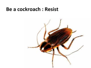 Social	
  Impulse	
  -­‐	
  Tous	
  droits	
  réservés	
   12	
  
Be	
  a	
  cockroach	
  :	
  Resist	
  
	
  
 