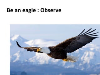 Be	
  an	
  eagle	
  :	
  Observe	
  
	
  
 