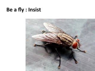 Social	
  Impulse	
  -­‐	
  Tous	
  droits	
  réservés	
   14	
  
Be	
  a	
  ﬂy	
  :	
  Insist	
  
	
  
 