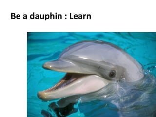 Social	
  Impulse	
  -­‐	
  Tous	
  droits	
  réservés	
   15	
  
Be	
  a	
  dauphin	
  :	
  Learn	
  
	
  
 