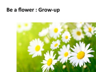 Social	
  Impulse	
  -­‐	
  Tous	
  droits	
  réservés	
   17	
  
Be	
  a	
  ﬂower	
  :	
  Grow-­‐up	
  
	
  
 