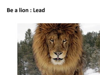 Social	
  Impulse	
  -­‐	
  Tous	
  droits	
  réservés	
  
Be	
  a	
  lion	
  :	
  Lead	
  
	
  
 