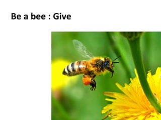 Social	
  Impulse	
  -­‐	
  Tous	
  droits	
  réservés	
   19	
  
Be	
  a	
  bee	
  :	
  Give	
  
	
  
 