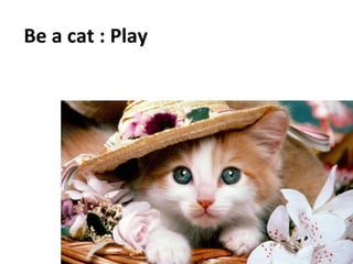 Be	
  a	
  cat	
  :	
  Play	
  
	
  
 