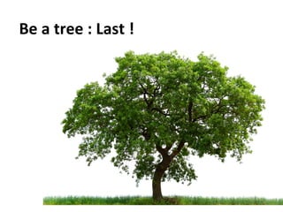 Social	
  Impulse	
  -­‐	
  Tous	
  droits	
  réservés	
   24	
  
Be	
  a	
  tree	
  :	
  Last	
  !	
  
 