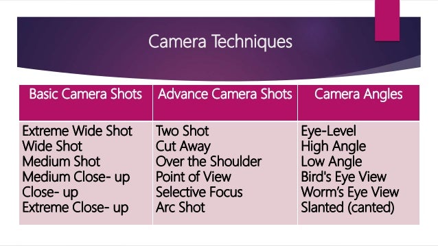 view camera technique pdf download