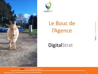 DigitalStrat–Lebookdel’Agence
1Communication & Conseil Opérationnels04/02/2015
DigitalStrat – Le Book de l’Agence
Le Bouc de
l’Agence
DigitalStrat
 