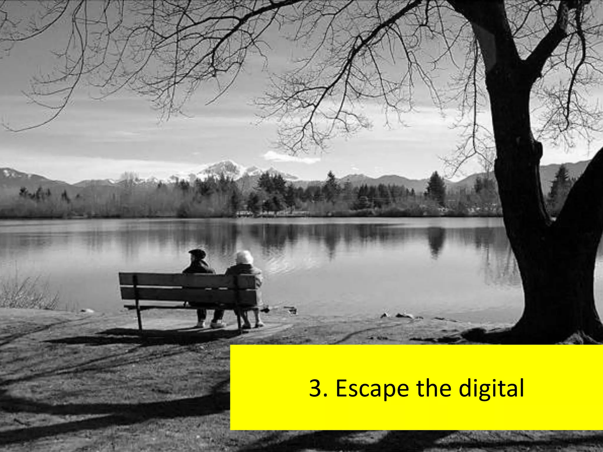 3. Escape the digital
 