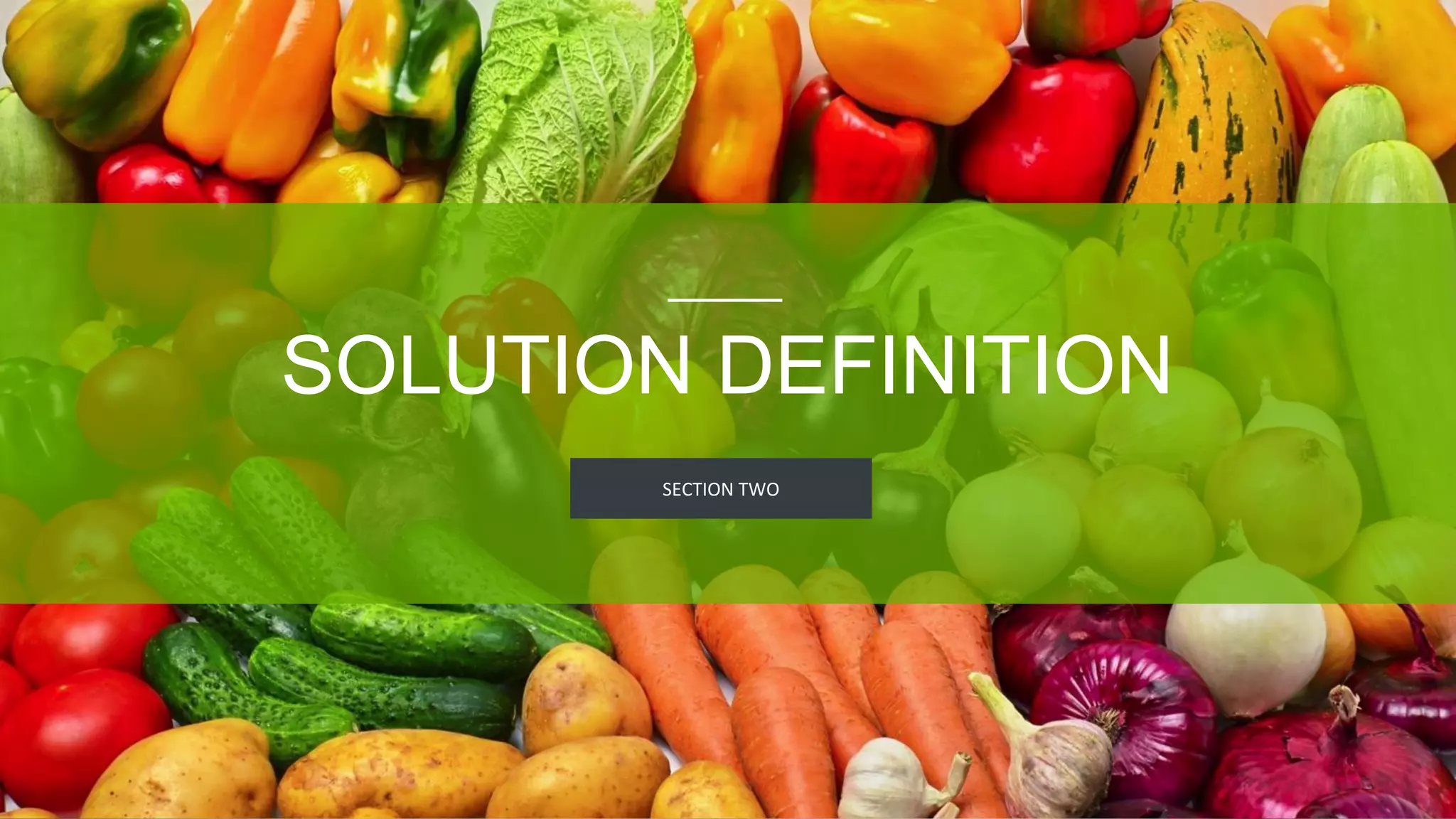 SECTION TWO
SOLUTION DEFINITION
 