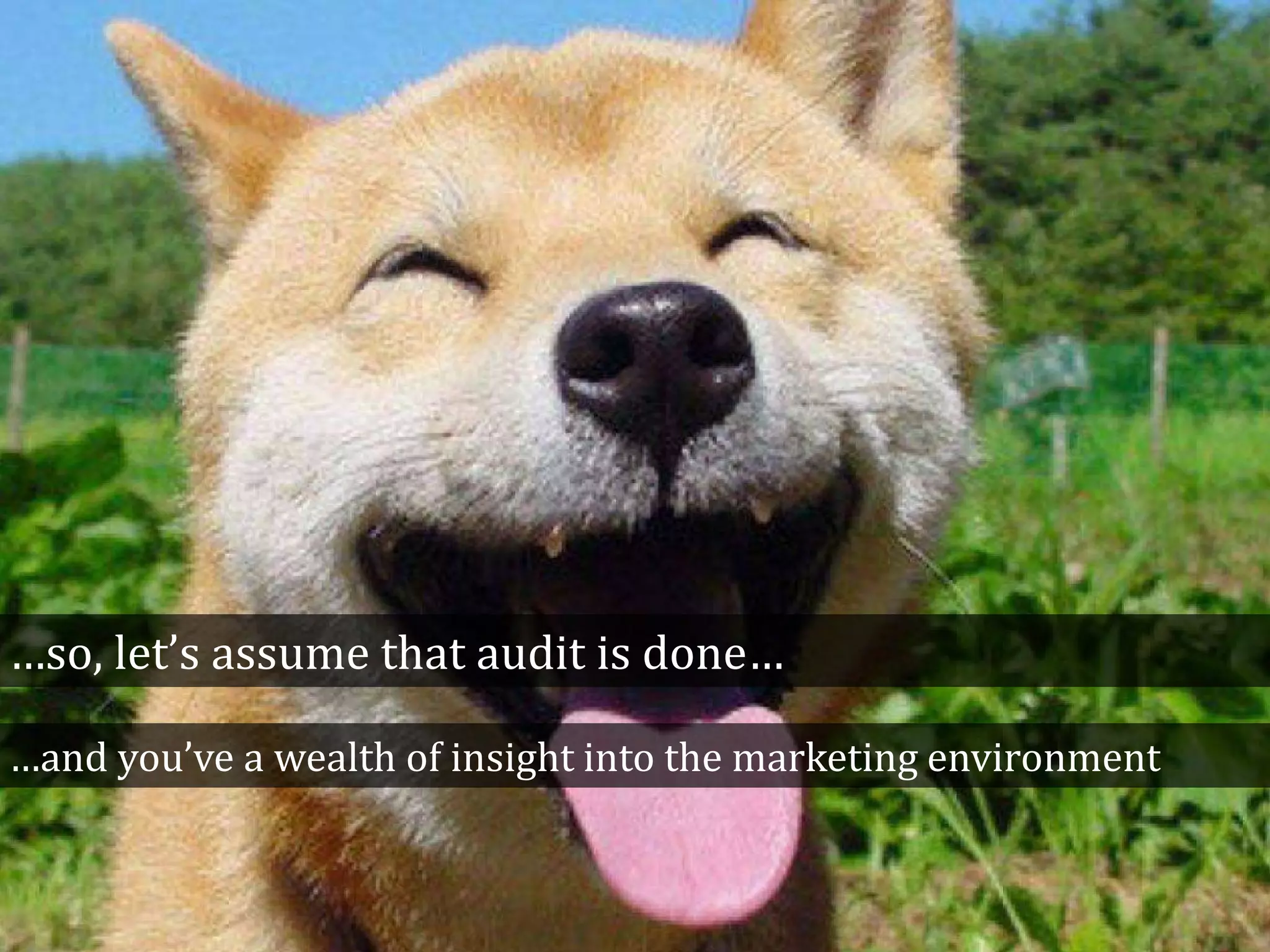 …so, let’s assume that audit is done…
…and you’ve a wealth of insight into the marketing environment
 