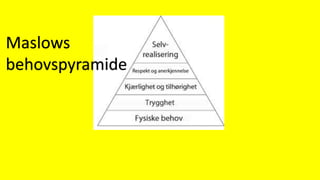 Maslows
behovspyramide
 