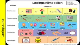 Læringsstiler
 