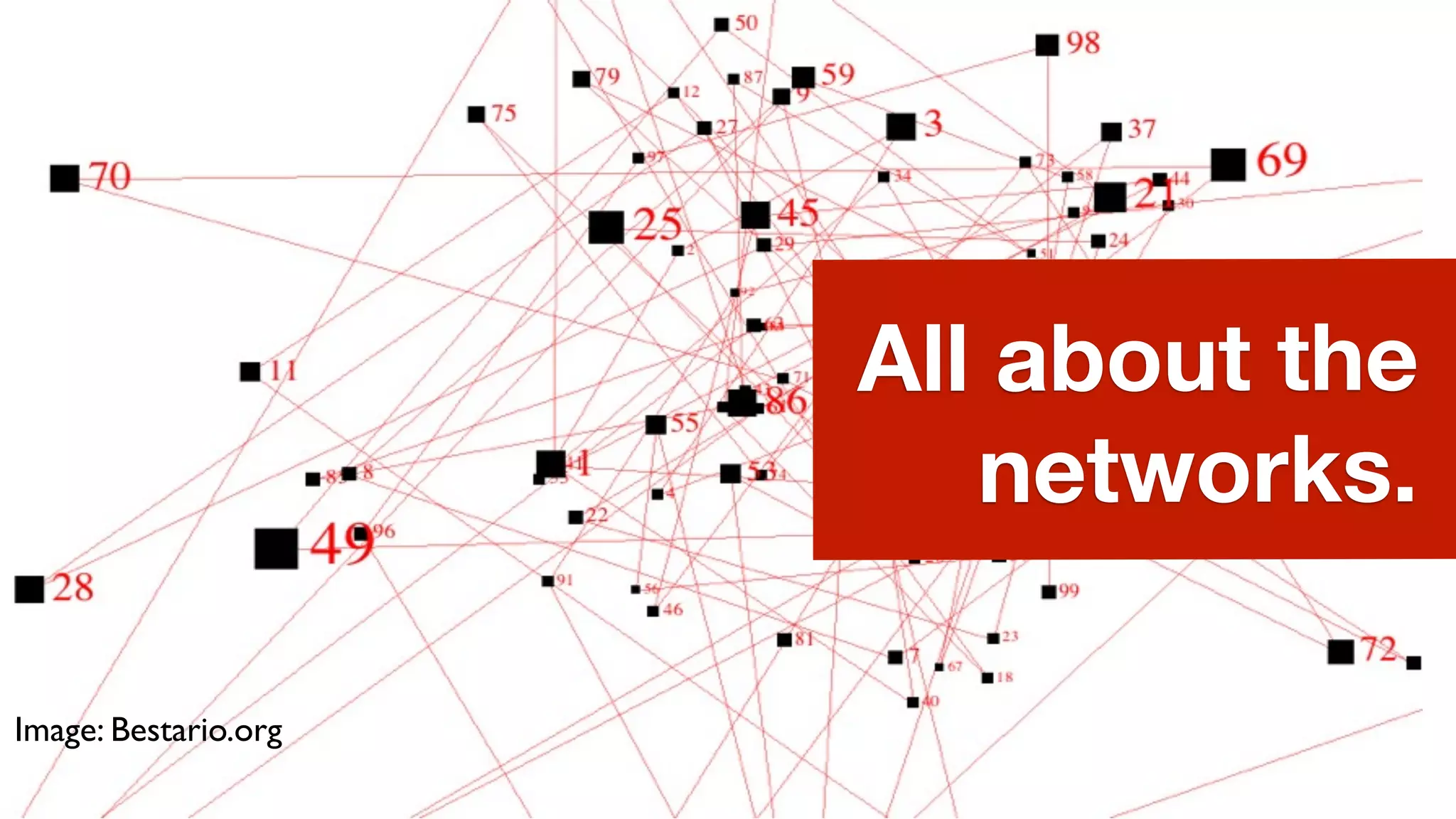 All about the
                         networks.

Image: Bestario.org
 