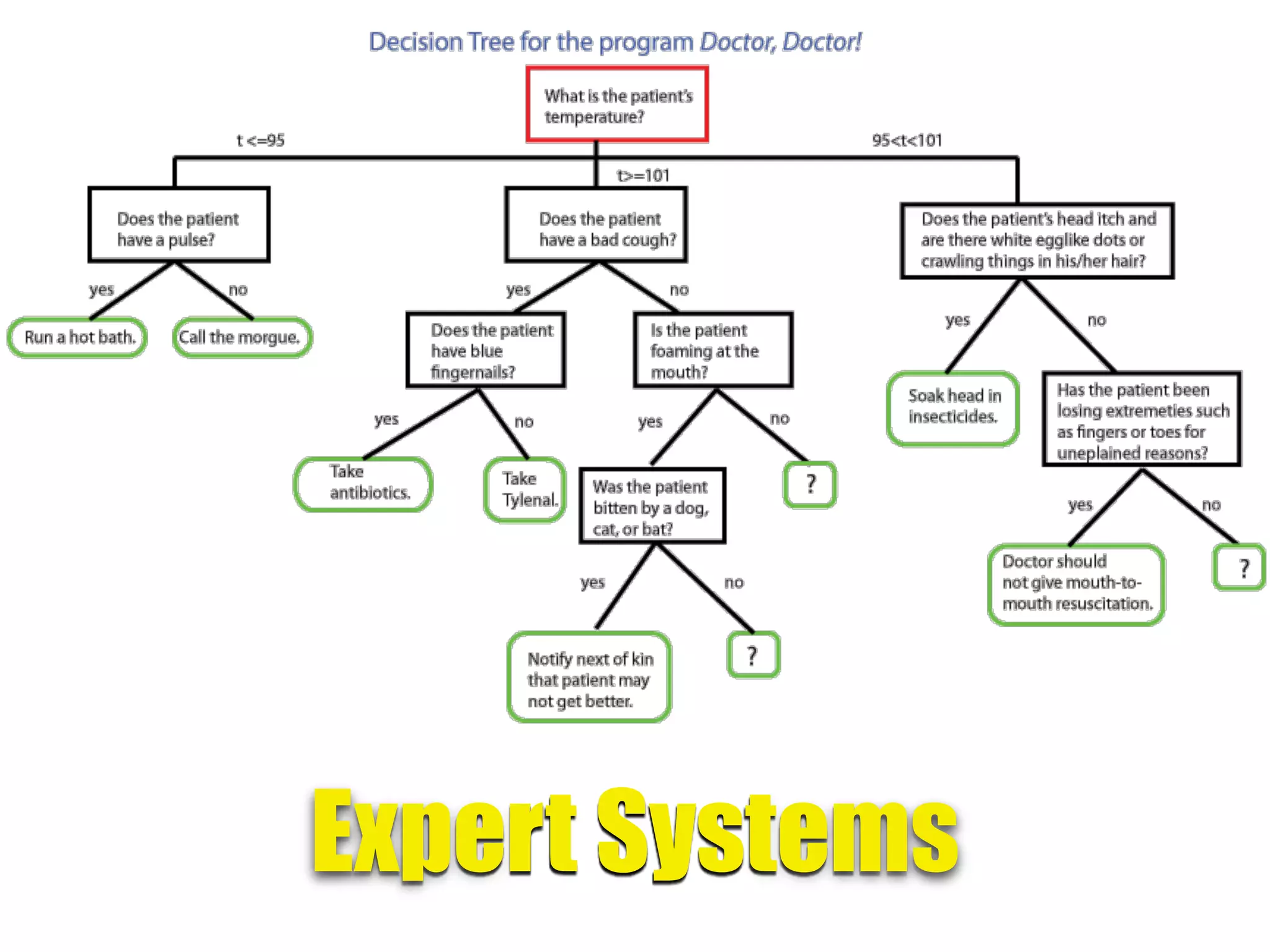 Expert Systems
 