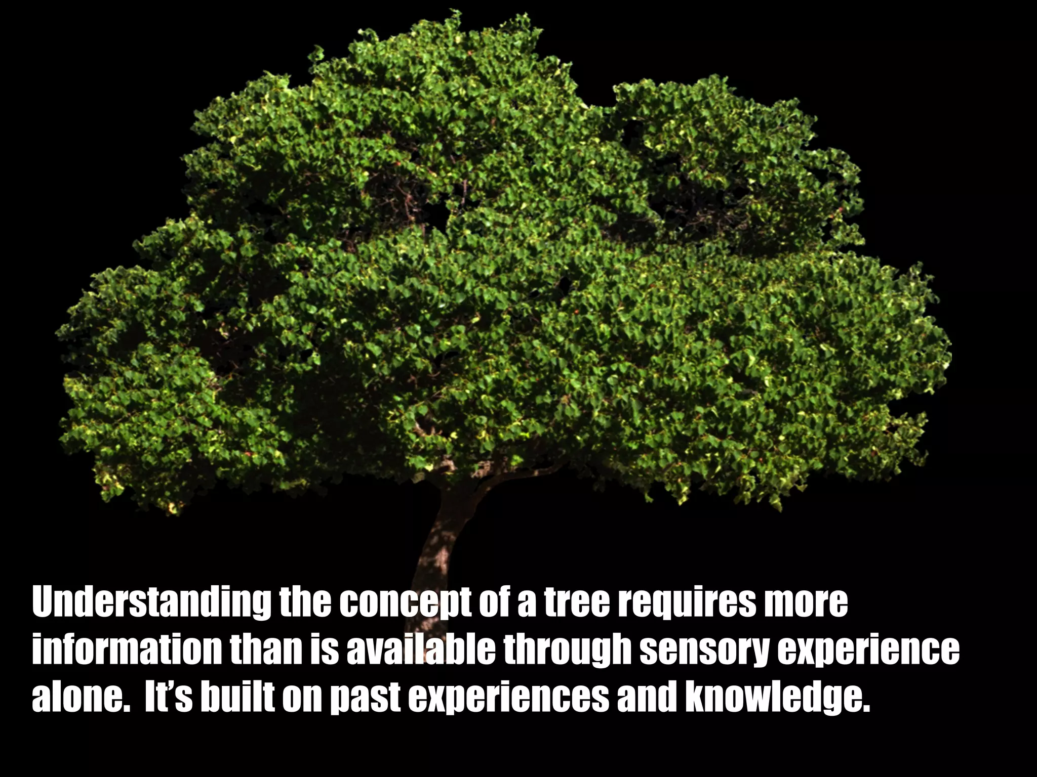 Understanding the concept of a tree requires more
information than is available through sensory experience
alone.  It’s built on past experiences and knowledge.
 