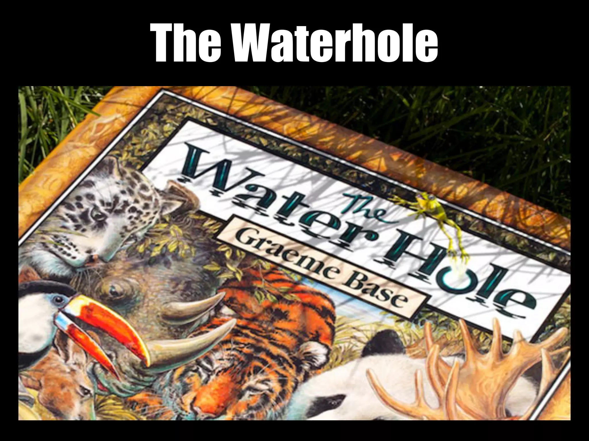 The Waterhole
 