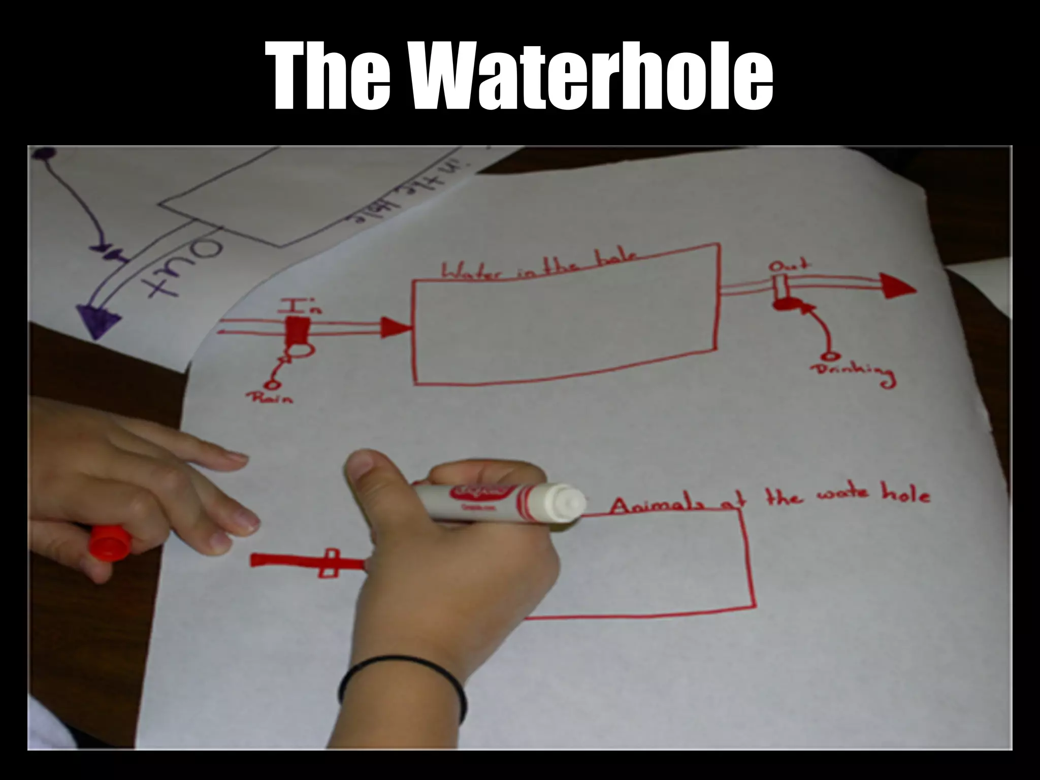 The Waterhole
 