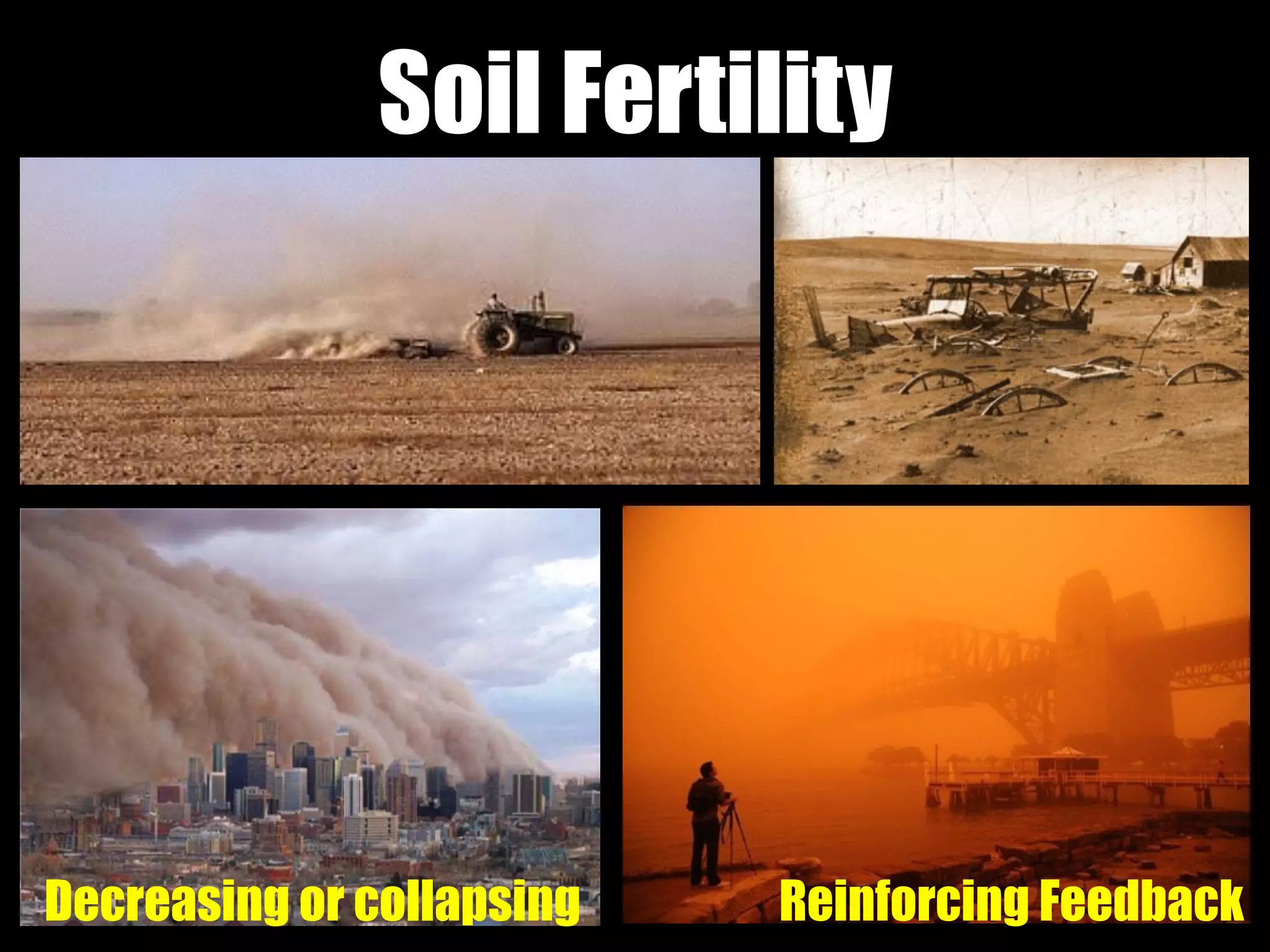 Soil Fertility
Decreasing or collapsing Reinforcing Feedback
 